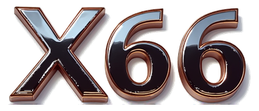 x66 logo